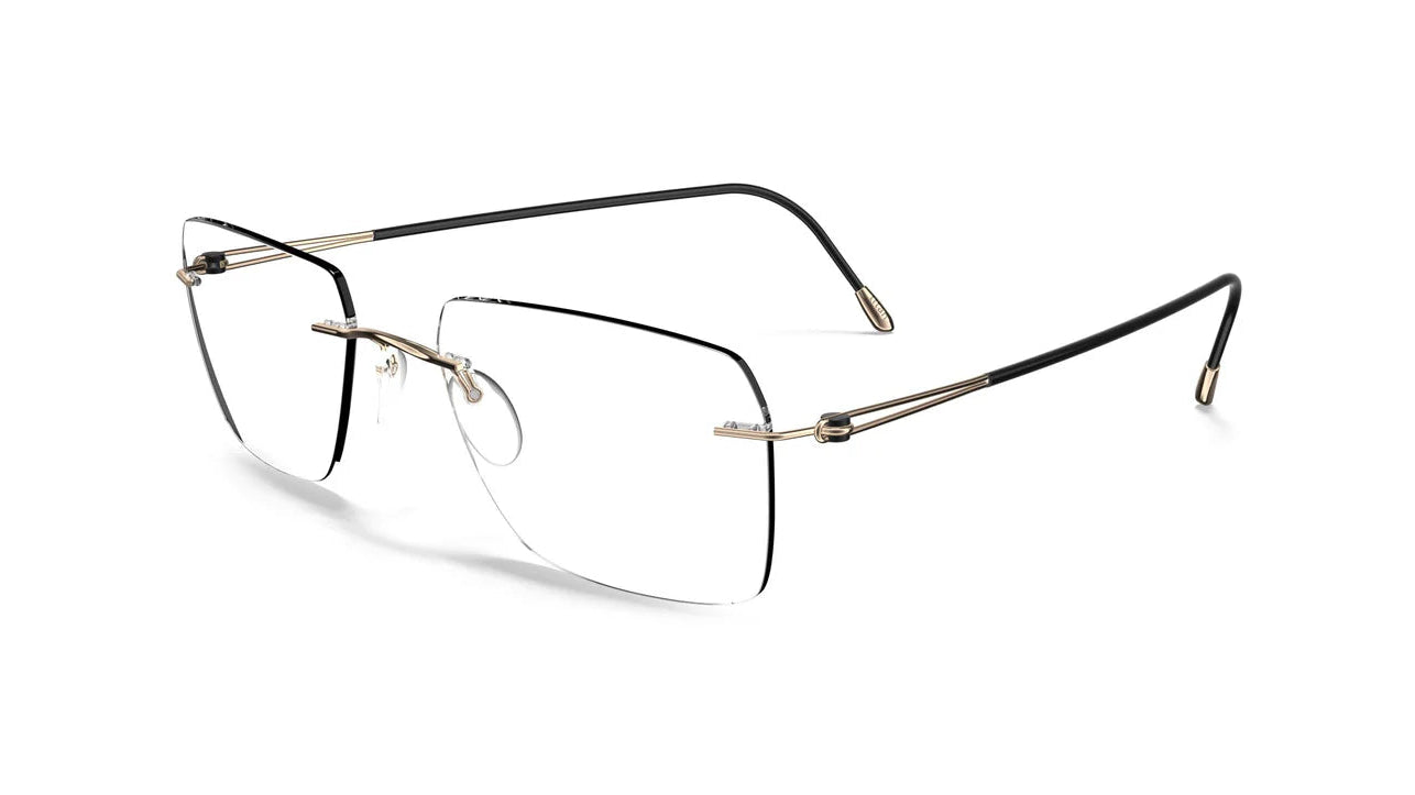 SILHOUETTE EYEGLASSES - 5569/DN 7530 55