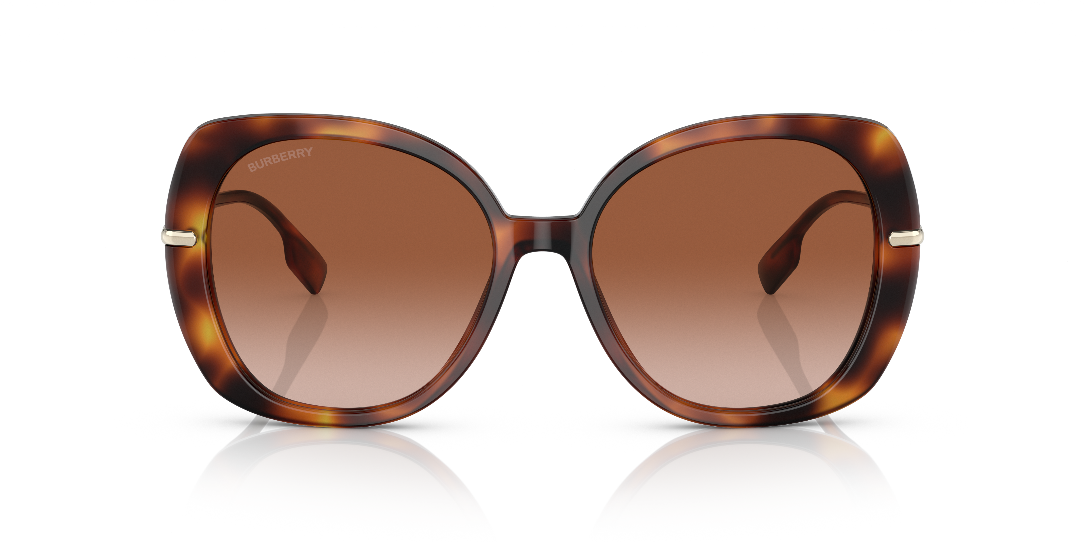 نظارات شمسية بربري أوجيني - BE4374 331613 55