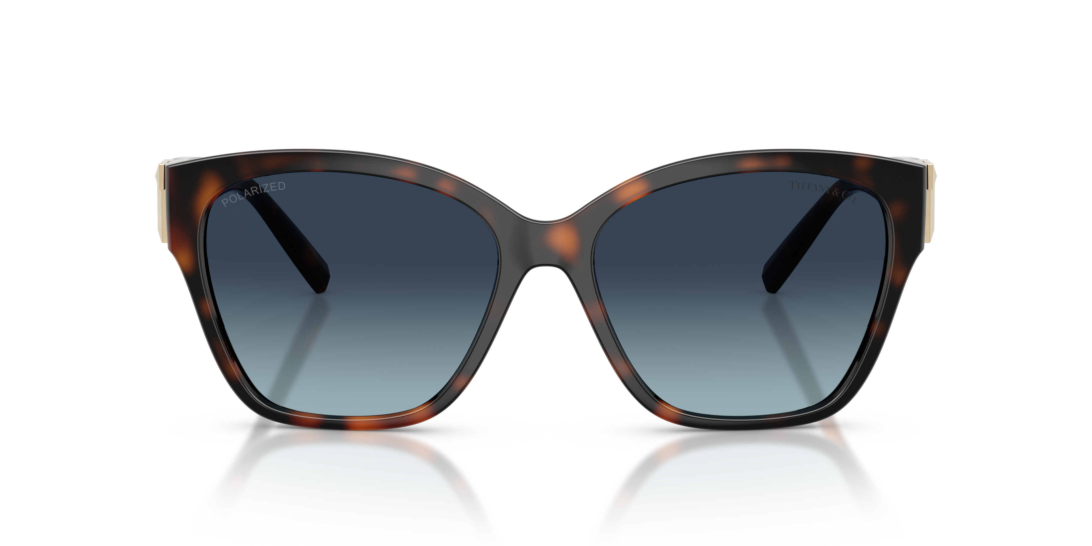 TIFFANY SUNGLASSES - TF4254U 84554U 56