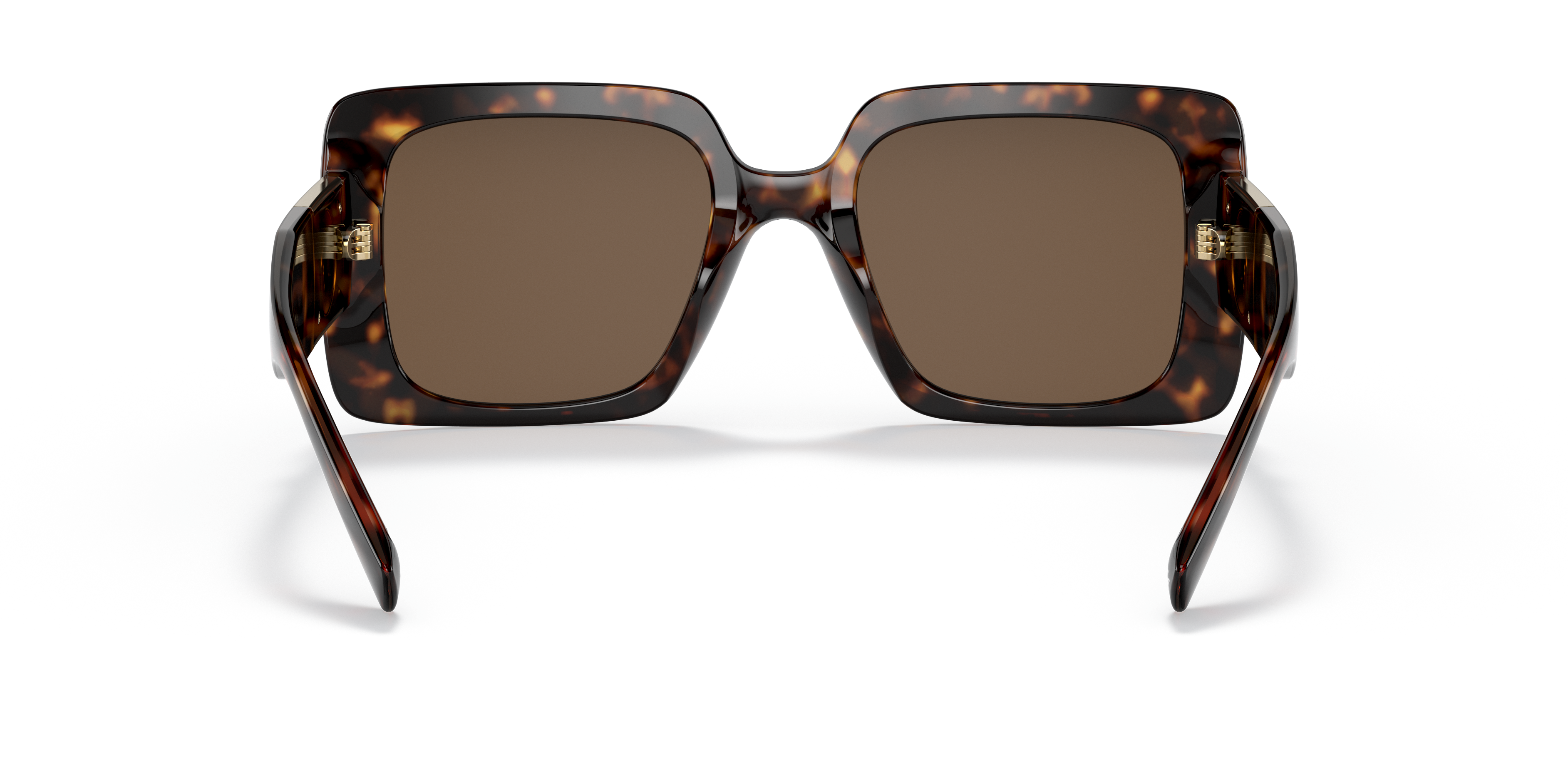 نظارة شمسية فيرساتشي ميدوسا ستود - VE4405 108/73 54