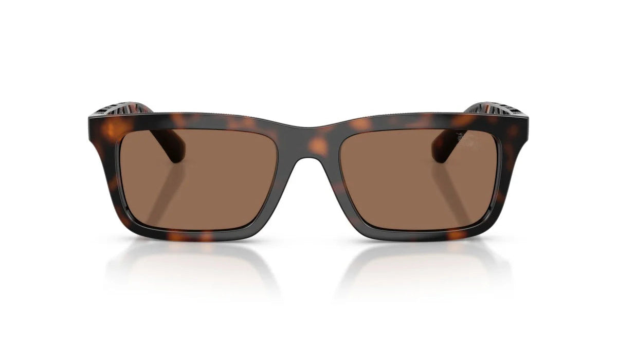 BURBERRY SUNGLASSES - BE4475U 300273 53