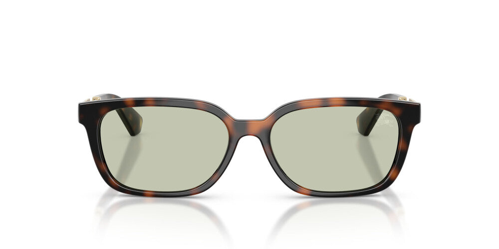 BURBERRY SUNGLASSES - BE4481D 3002/2 54