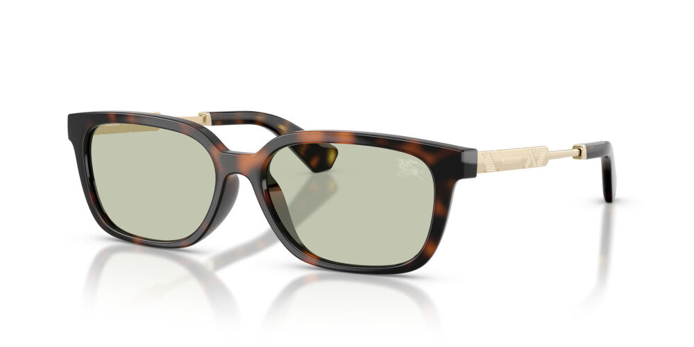 BURBERRY SUNGLASSES - BE4481D 3002/2 54