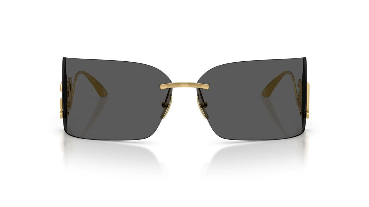 DOLCE & GABBANA SUNGLASSES - DG2319 02/87 79