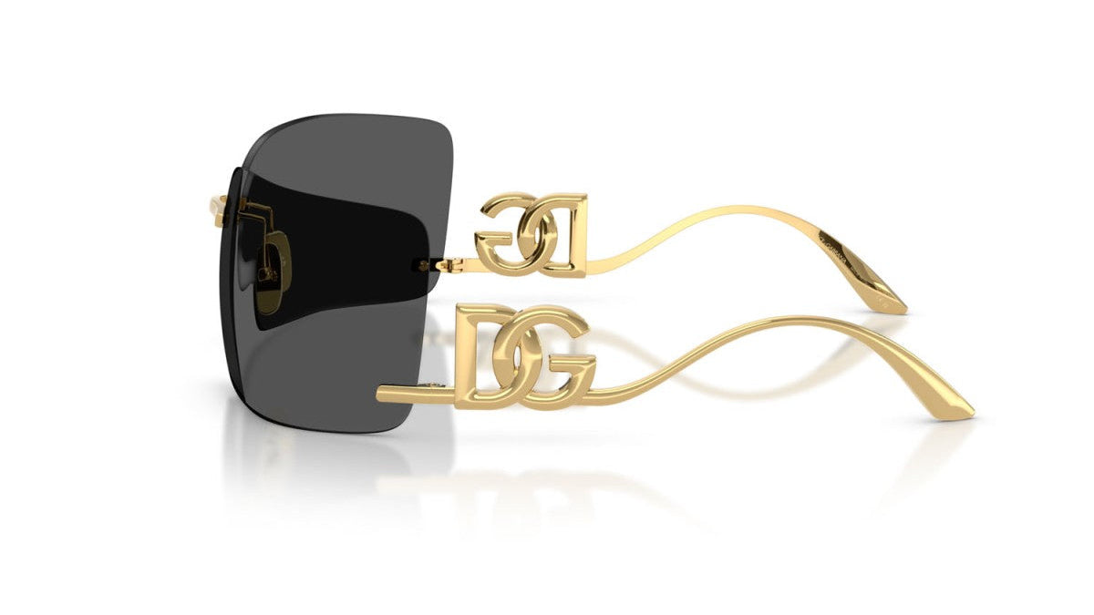 DOLCE & GABBANA SUNGLASSES - DG2319 02/87 79
