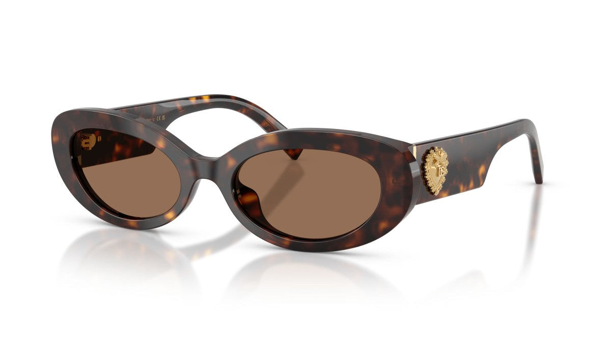 DOLCE & GABBANA SUNGLASSES - DG4537 502/73 53