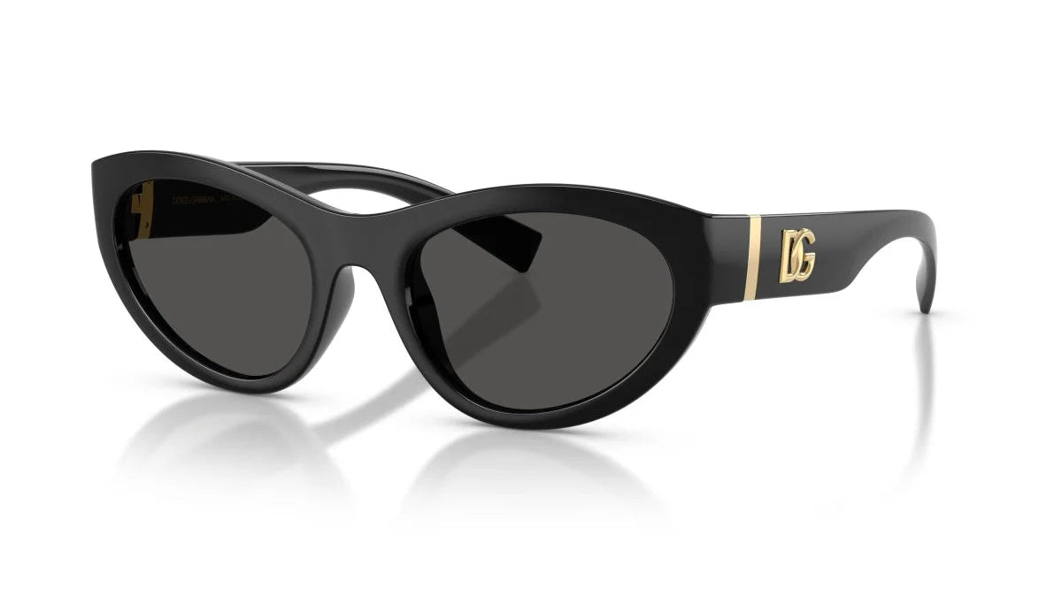 DOLCE & GABBANA SUNGLASSES - DG6207 501/87 54