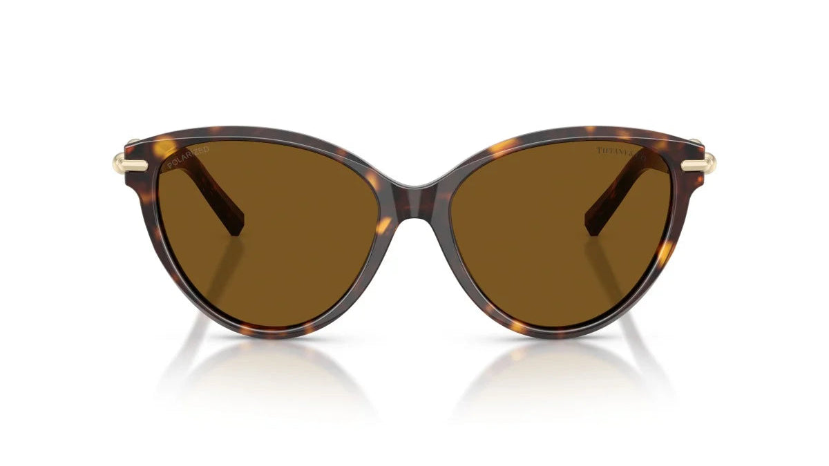 TIFFANY SUNGLASSES - TF4261 801583 56