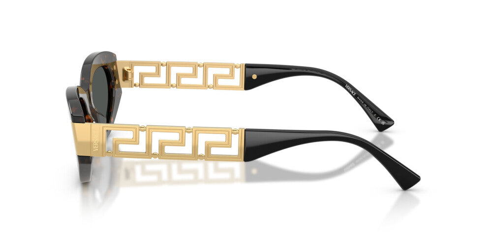 VERSACE SUNGLASSES - VE4501 552887 54