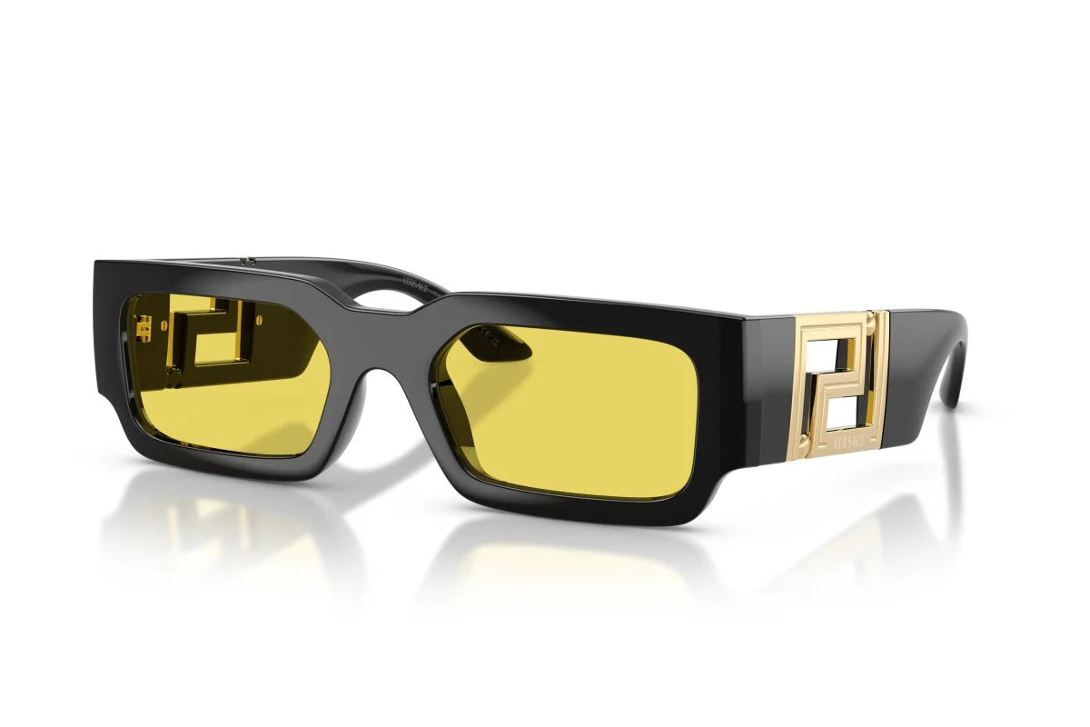VERSACE SUNGLASSES - VE4506U GB1/85 54