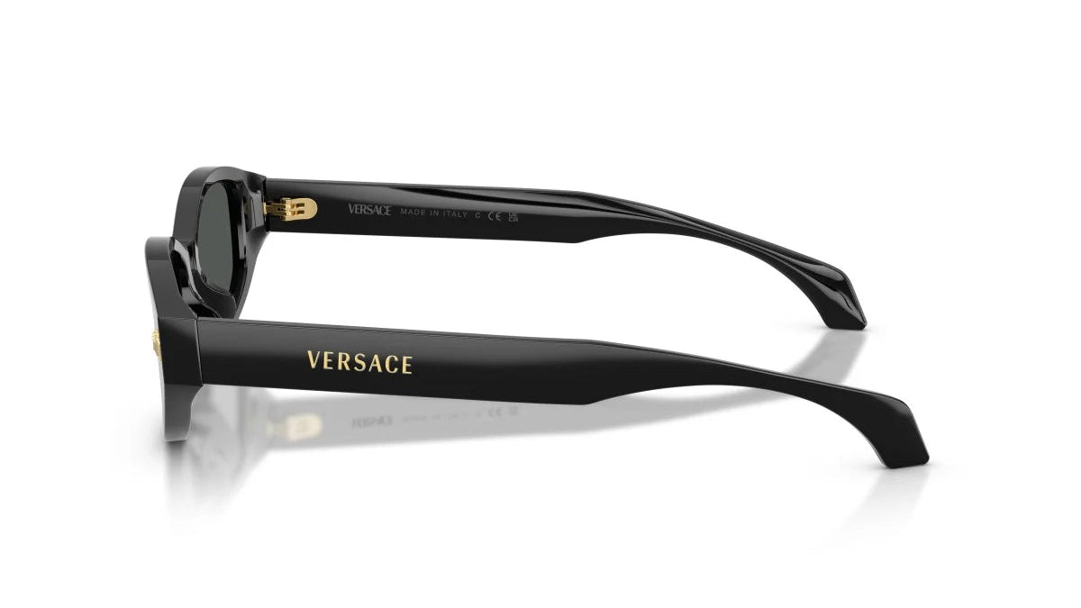 VERSACE SUNGLASSES - VE4512D GB1/87 54