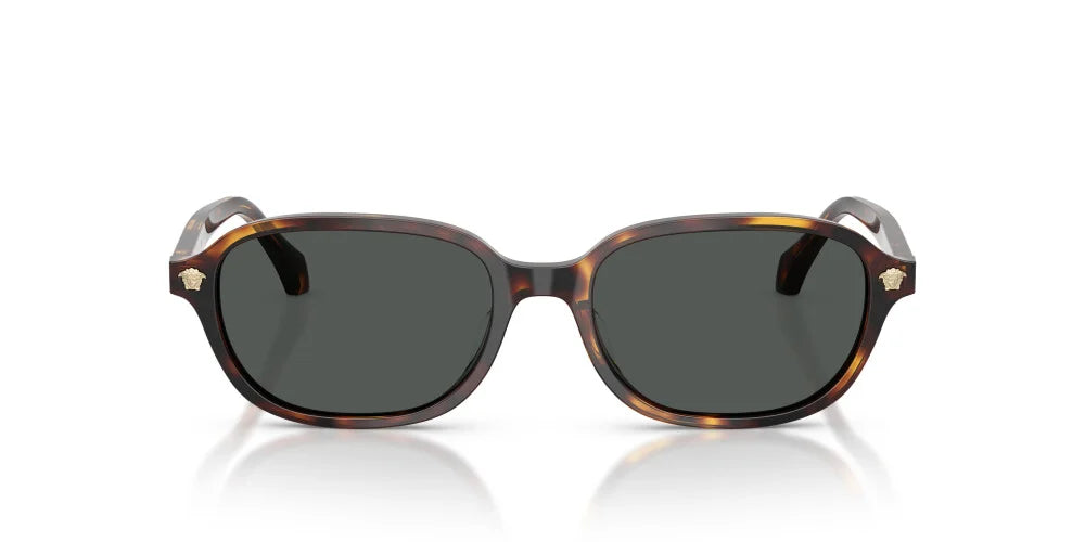 VERSACE SUNGLASSES - VE4514D 553773 53