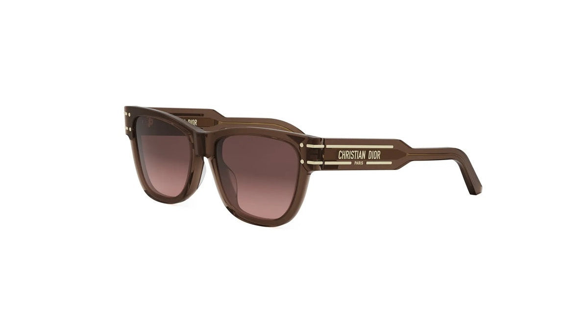 DIOR SUNGLASSES - DIORSIGNITURE S6U 64F1 54