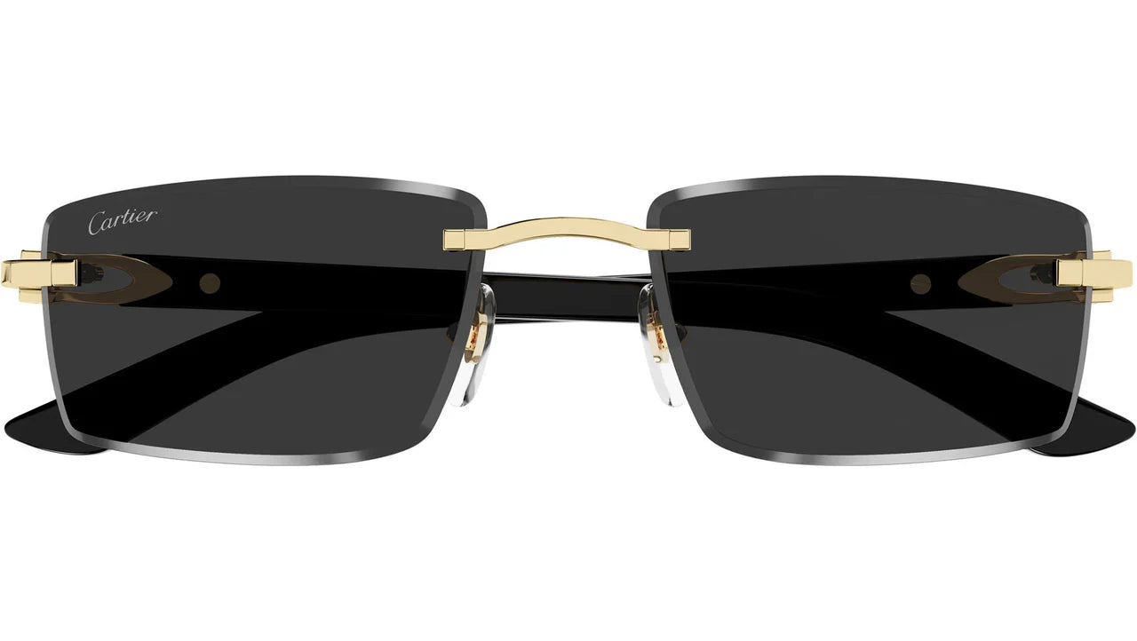CARTIER SUNGLASSES - CT0582S 001 56