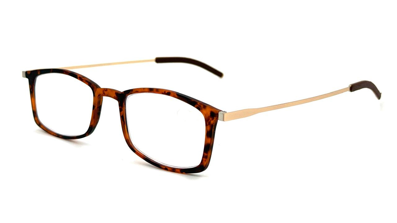 A & A READING EYEGLASSES - WR S5628J BROWN