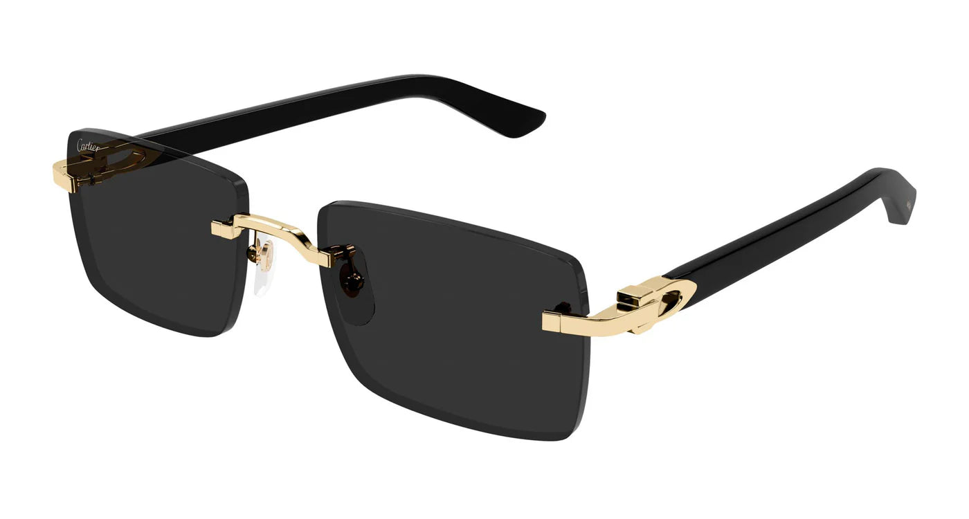 CARTIER SUNGLASSES - CT0579S 001 55