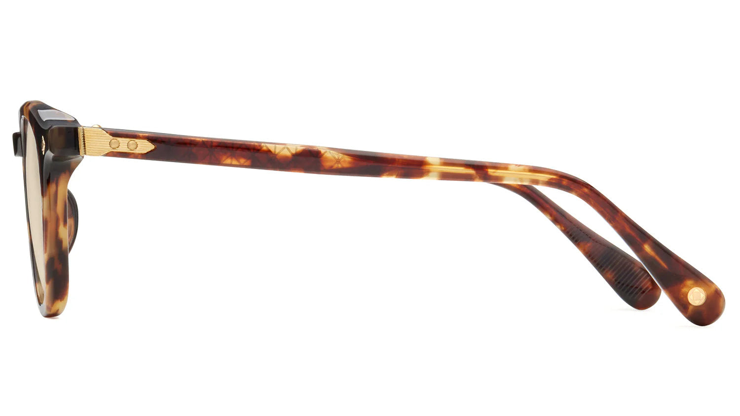 LUNETTERIE GENERALE SUNGLASSES - MAESTRO TORTOISE/18K GOLD 50