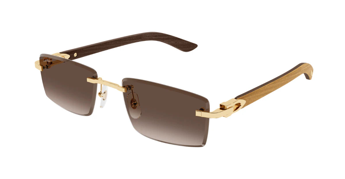 CARTIER SUNGLASSES - CT0582S 003 56
