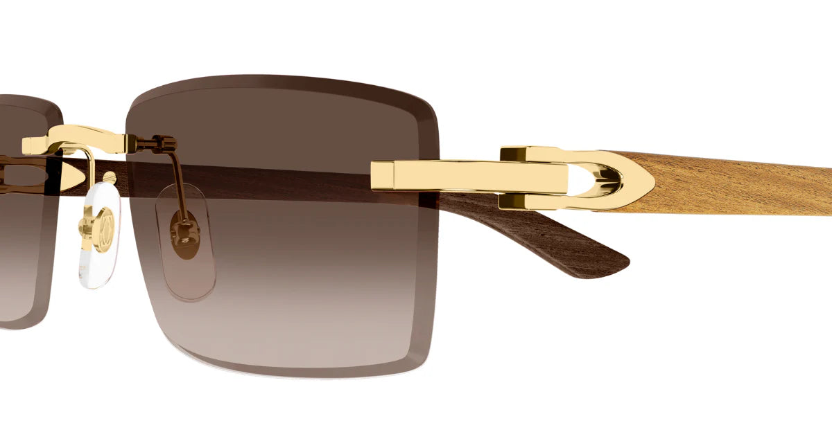 CARTIER SUNGLASSES - CT0582S 003 56