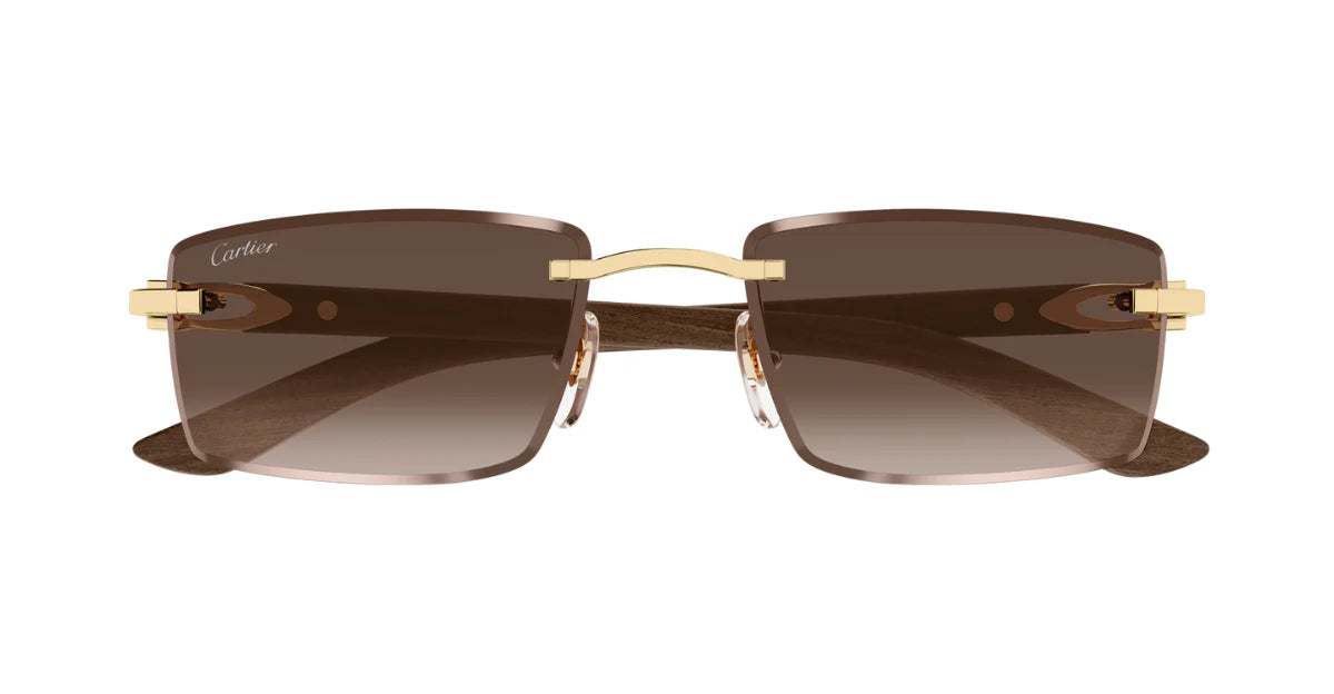 CARTIER SUNGLASSES - CT0582S 003 56