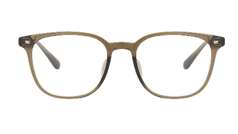 BOLON EYEGLASSES - BJ5176 B80