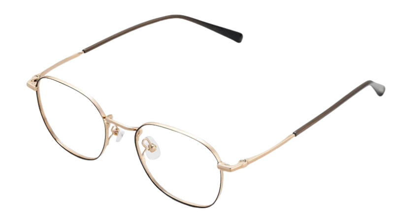 BOLON EYEGLASSES - BJ7325 B12