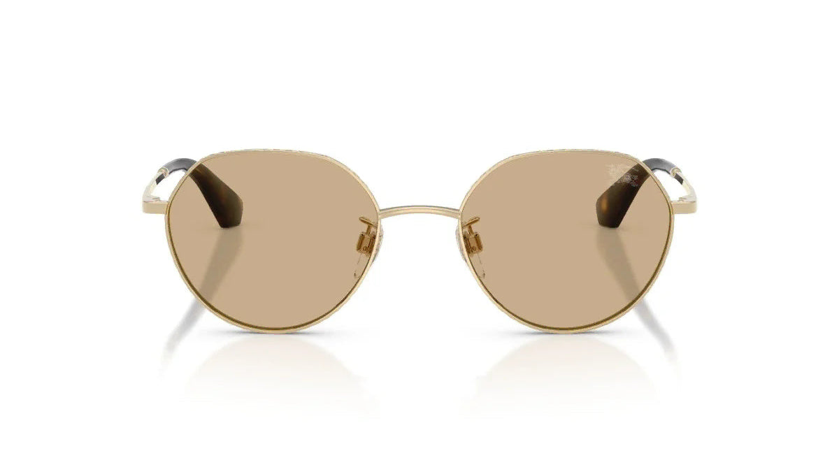 BURBERRY SUNGLASSES - BE3173D 110973 51