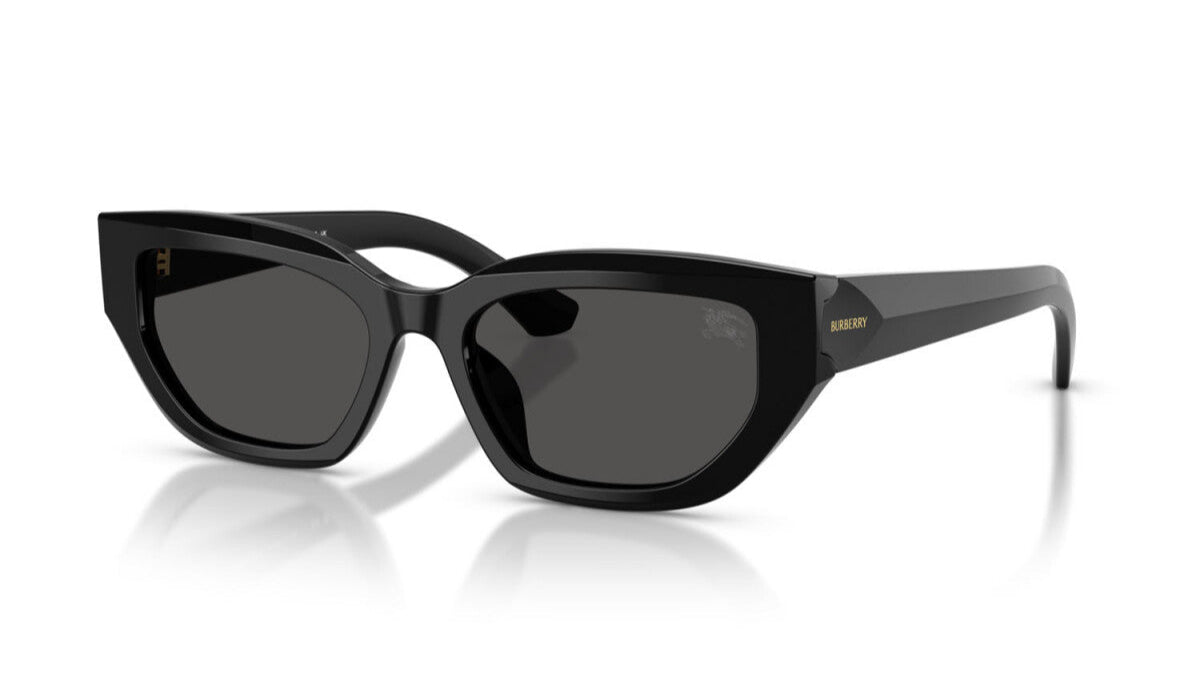 Burberry Black Sunglasses with Signature Brit Design 79E44241-AC36-42DD-BA3B-  main image 4