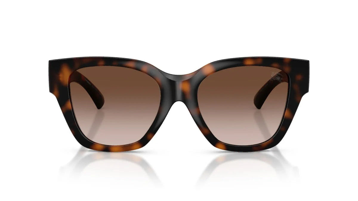 BURBERRY SUNGLASSES - BE4489U 300213 53