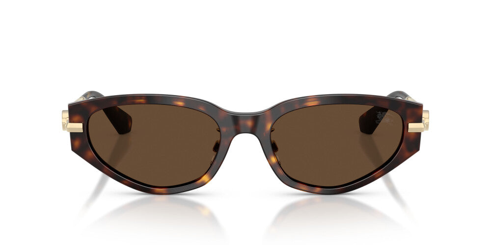 BURBERRY SUNGLASSES - BE4493D 300273 56