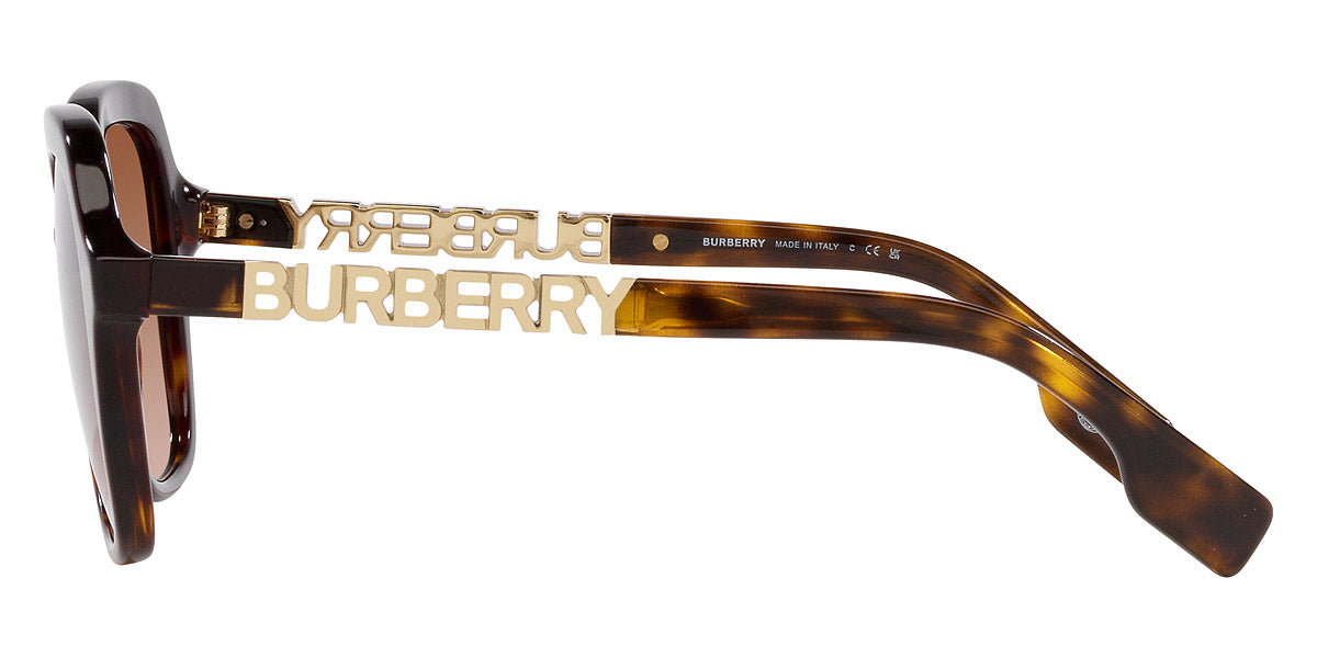 BURBERRY SUNGLASSES JONI - BE4389 300213 55 - Dark Havana