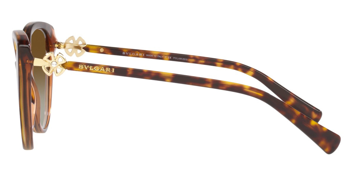 BVLGARI SUNGLASSES - BV8246B 5496T5 57 - Havana on Transparent Brown