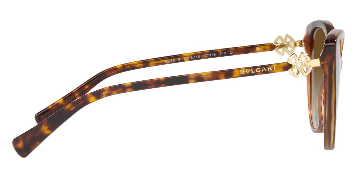 BVLGARI SUNGLASSES - BV8246B 5496T5 57 - Havana on Transparent Brown
