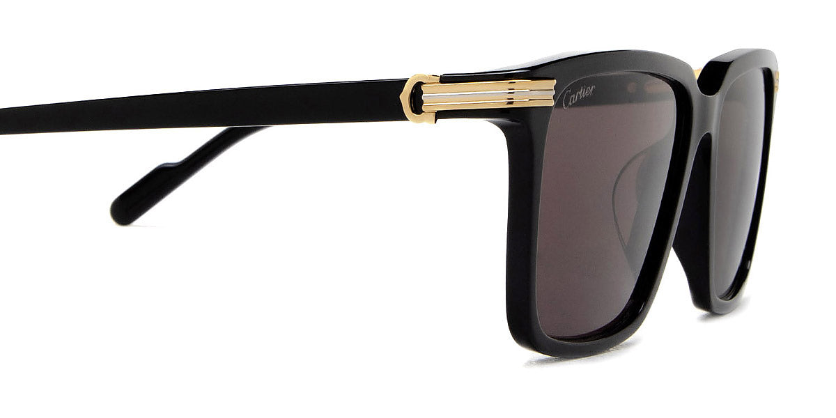 CARTIER SUNGLASSES - CT0220SA 001 56