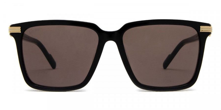 CARTIER SUNGLASSES - CT0220SA 001 56