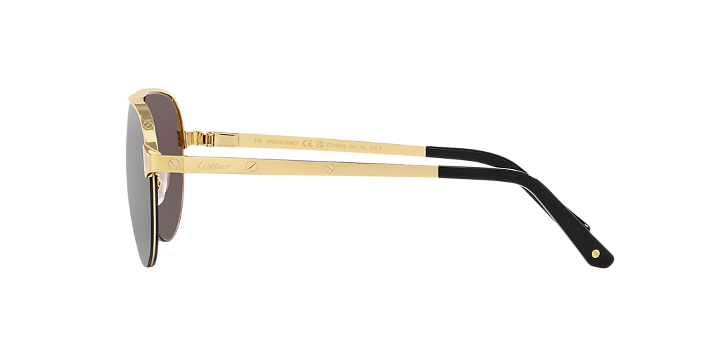 CARTIER SUNGLASSES - CT0386S