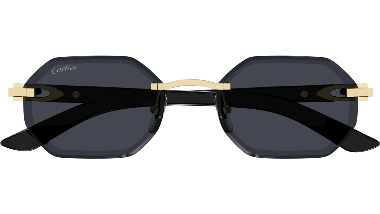 CARTIER SUNGLASSES - CT0439S 002 54