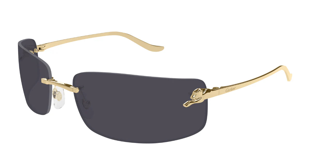 CARTIER SUNGLASSES - CT0503S 001 71