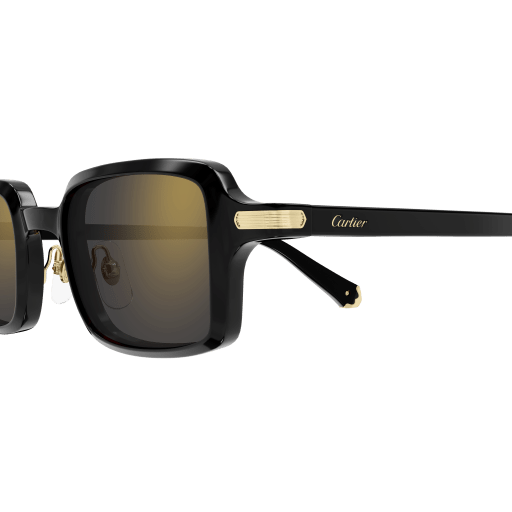 CARTIER SUNGLASSES - CT0539S 001 49