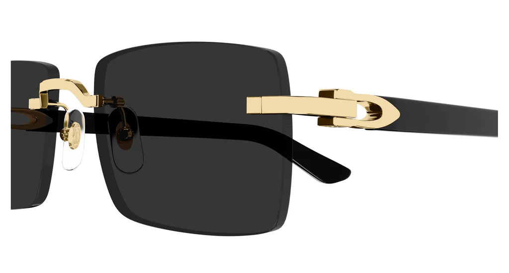 CARTIER SUNGLASSES - CT0579S 001 55