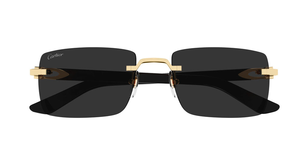 CARTIER SUNGLASSES - CT0579S 001 55