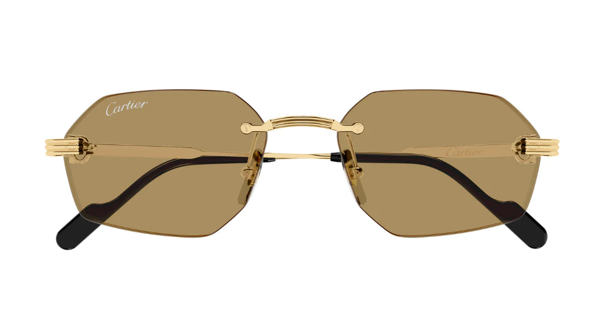CARTIER SUNGLASSES - CT0616S 002 54