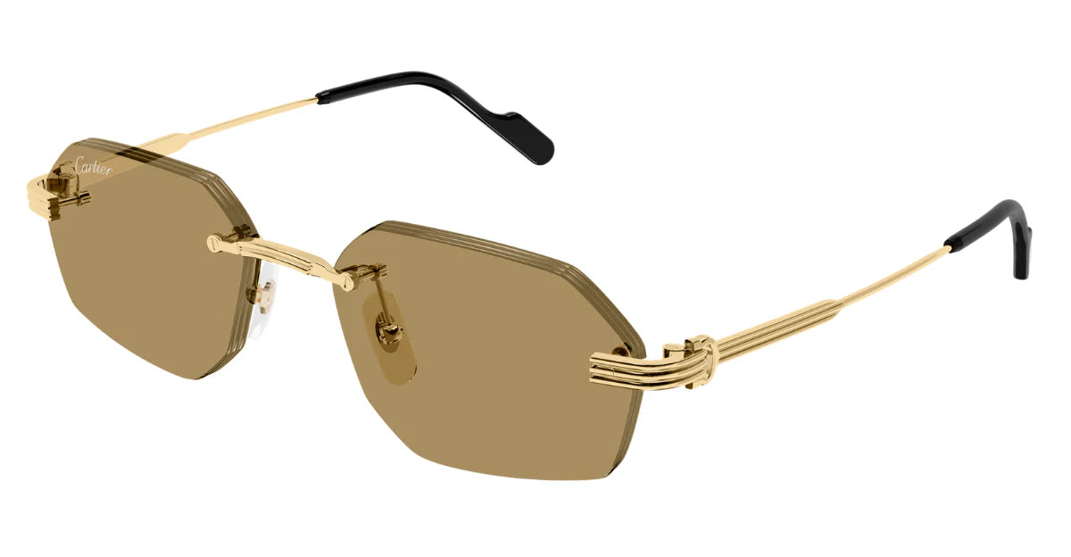 CARTIER SUNGLASSES - CT0616S 002 54