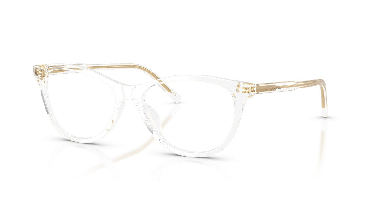 D&G EYEGLASSES - DG3443 3133 53