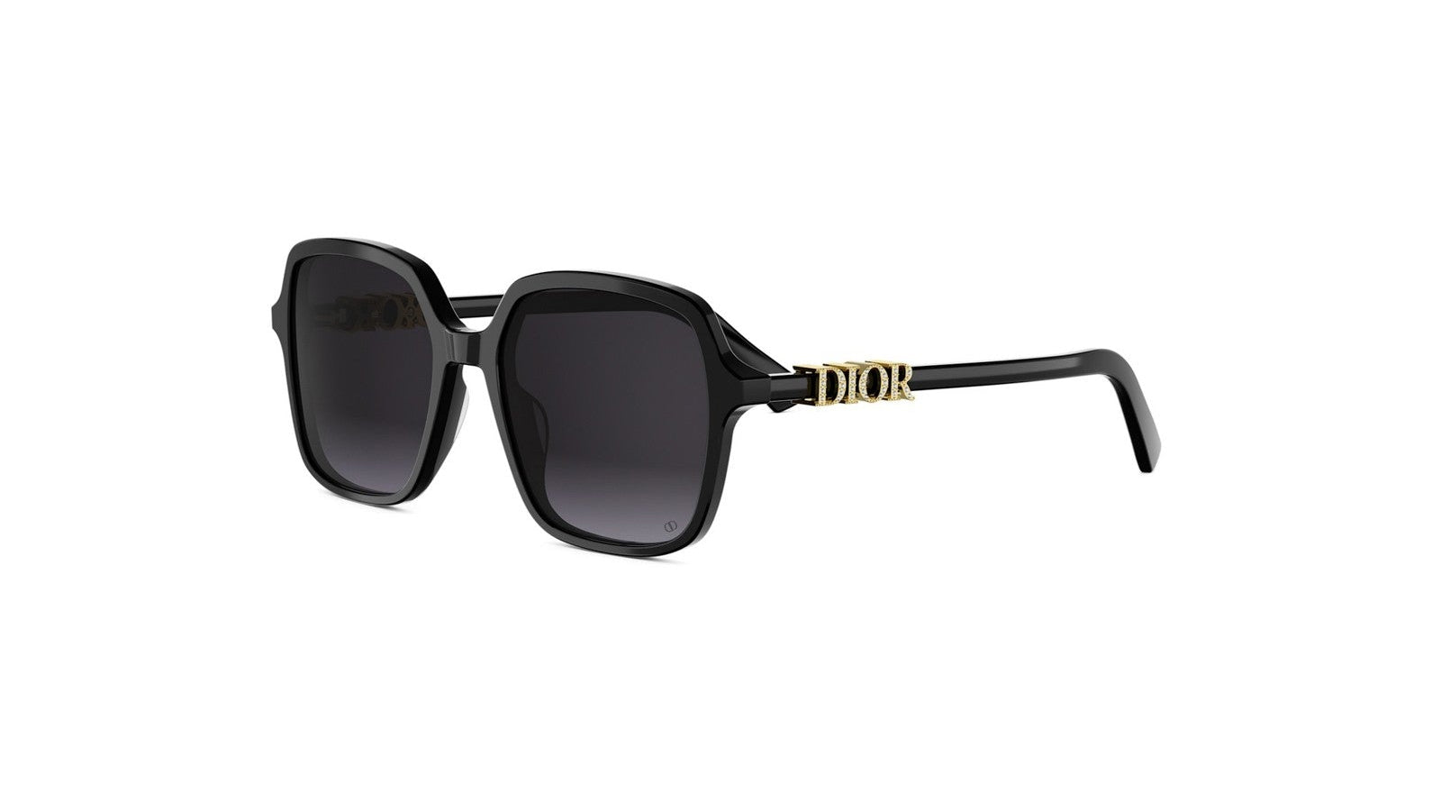 DIOR SUNGLASSES - DIORTREASURE S1I 10A1 54