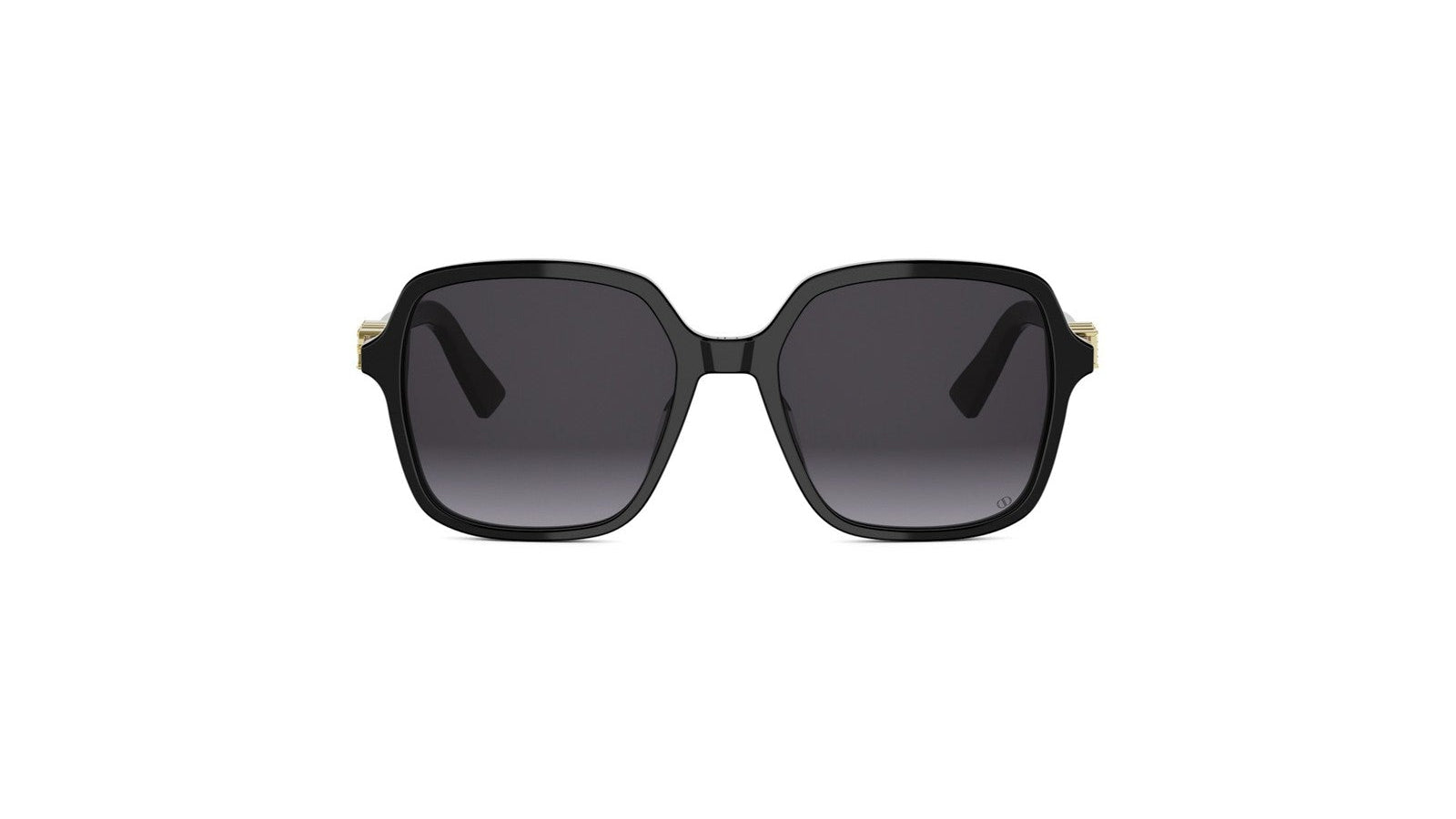 DIOR SUNGLASSES - DIORTREASURE S1I 10A1 54