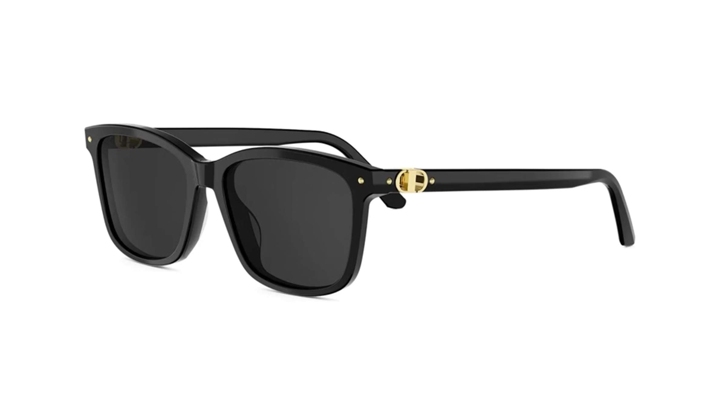 DIOR SUNGLASSES - PETIT CD S2I 10A0 53