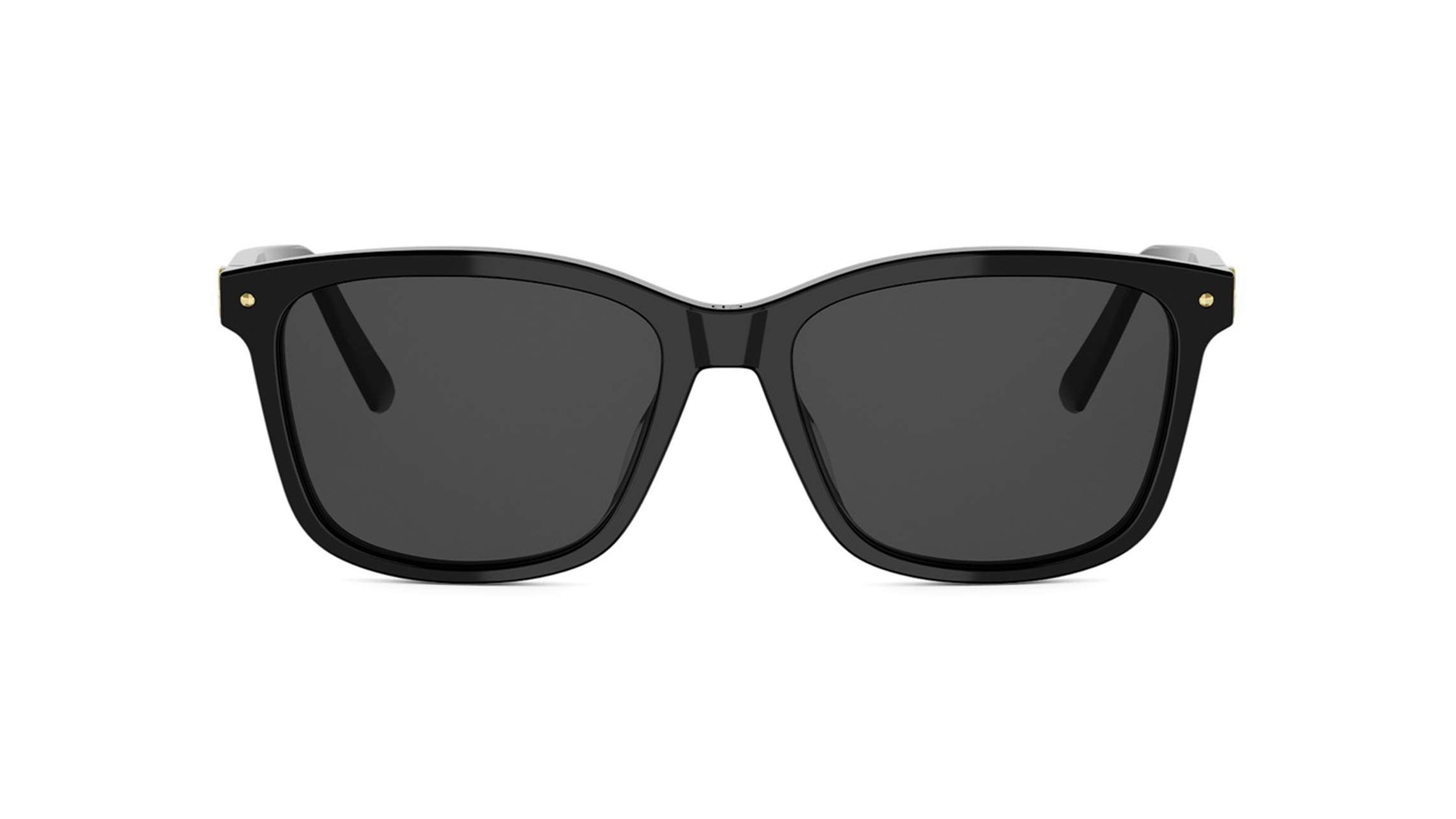 DIOR SUNGLASSES - PETIT CD S2I 10A0 53