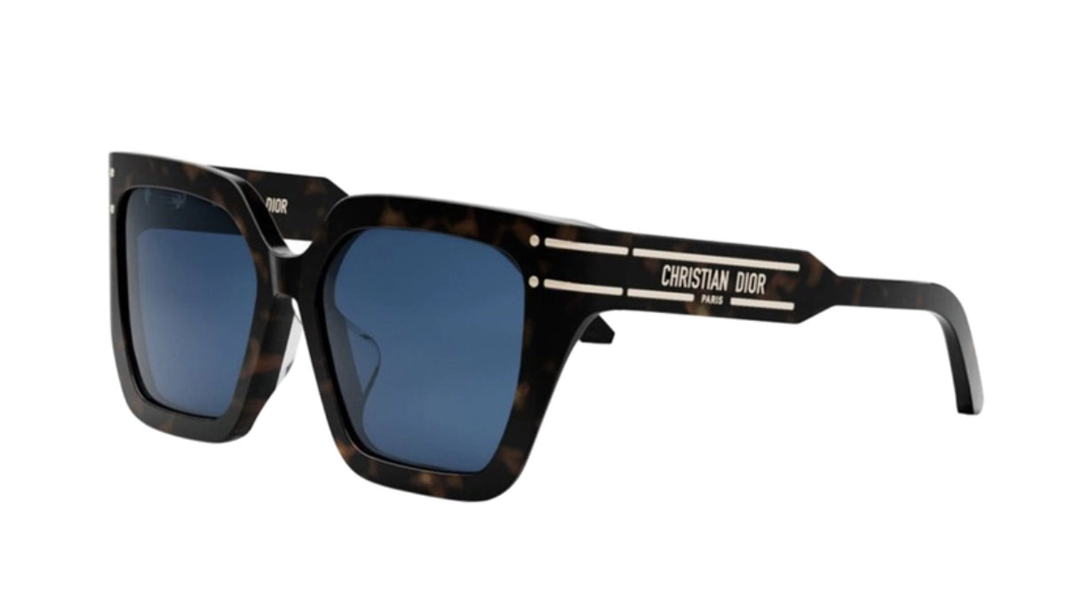DIOR SUNGLASSES - DIOR SIGNATURE S10F 20B0 55