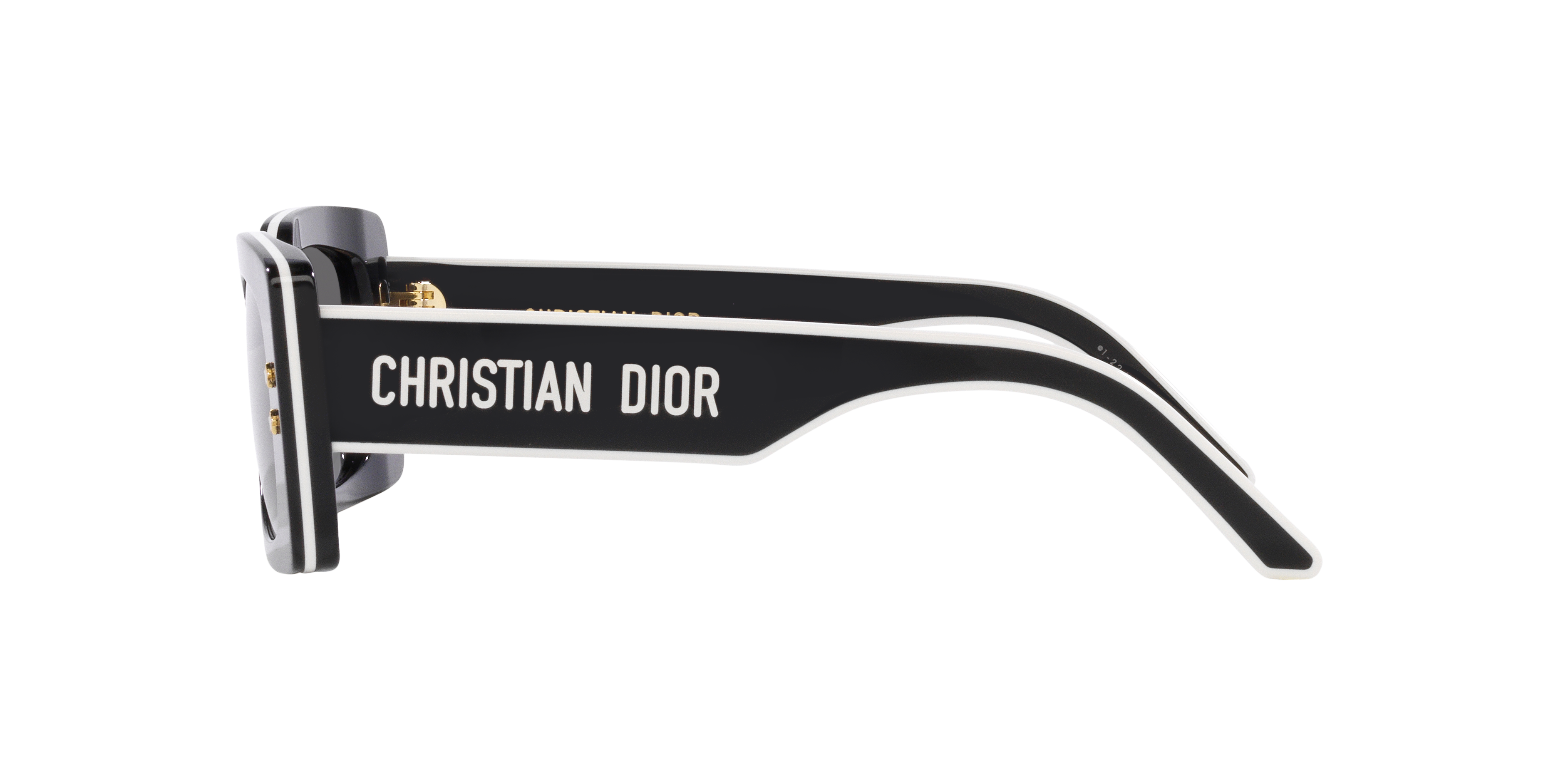 DIOR SUNGLASSES - DIORPACIFIC S1U 10A0 53